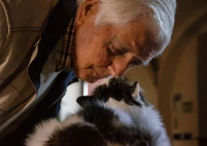 Discussing aftercare for deceased pets