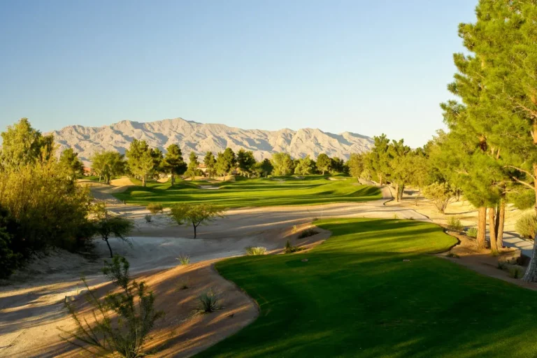 Guide to Desert Golf Course Conditions